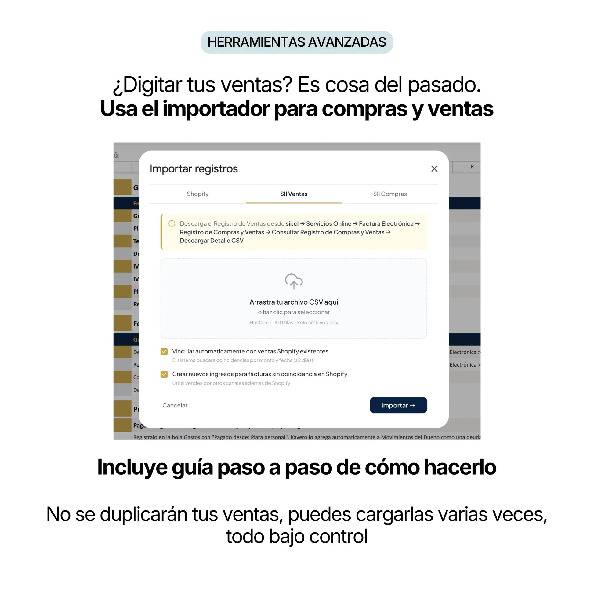 Kavero Empresas - Importador SII: importa compras y ventas directo del Registro del SII