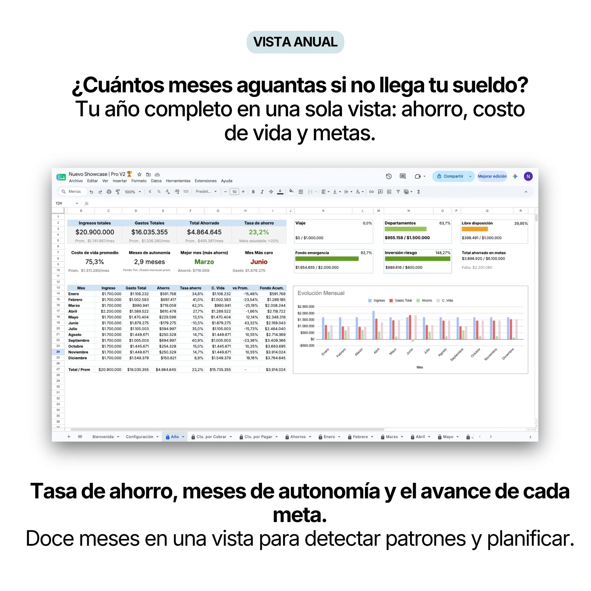 Vista anual Kavero PRO: tasa de ahorro, meses de autonomía, costo de vida y evolución mensual